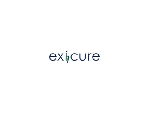 Latest company news about Exicure Announces Preclinical Data Supporting Development of SNA Technology in the Central Nervous System