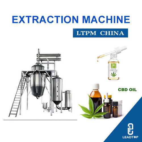 Latest company news about Lesotho cashes in on medicinal cannabis boom as British firm opens CBD factory