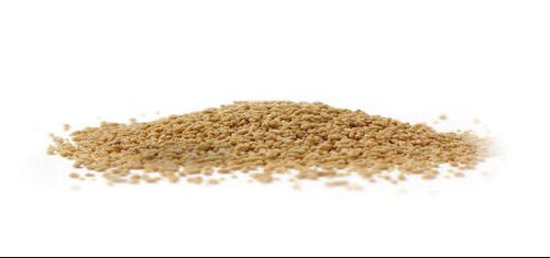 Latest company news about Granulation Process in Pharmaceutical Manufacturing