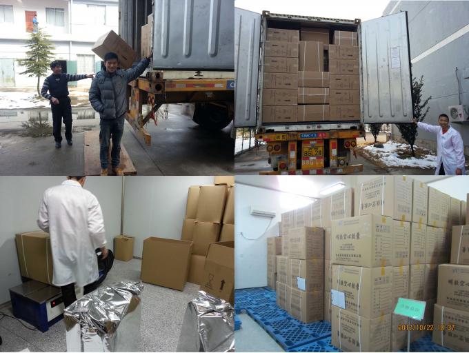 Pharmaceutical Bovine Gelatin Empty Capsules, Halal, Kosher, FDA, GMP