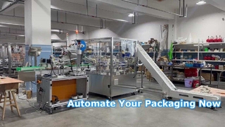 ZH100 Vertical Rotary Cartoning Machine