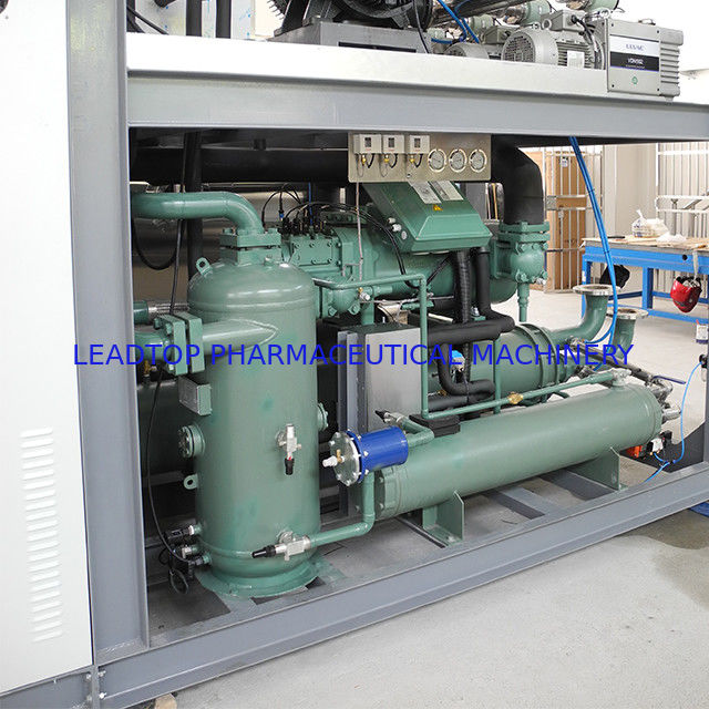 Multistage Dragon Fruit Vacuum Freeze Drying Equipment 15kg/Batch