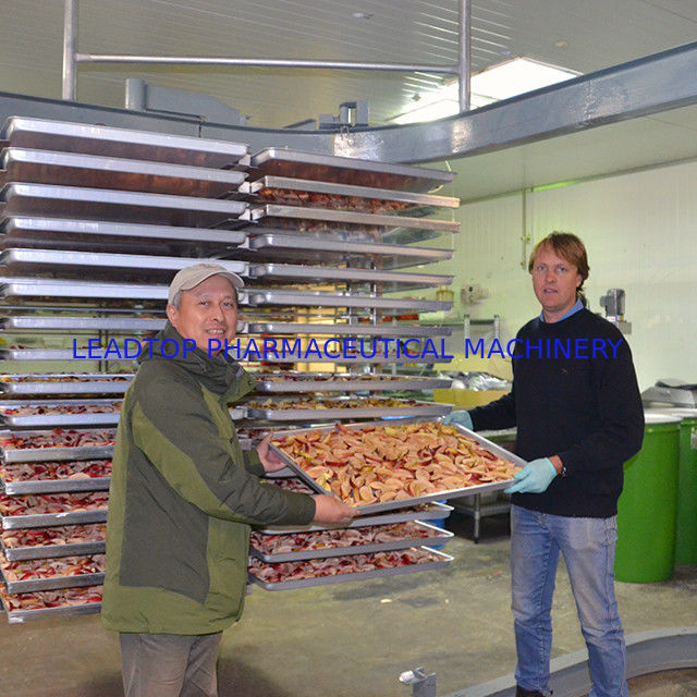 Multistage Dragon Fruit Vacuum Freeze Drying Equipment 15kg/Batch