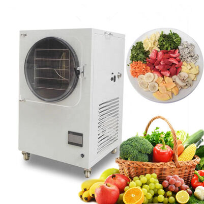 Good price Multifunction Industrial Food Freeze Dryer Mini Vacuum Food Lyophilizer online